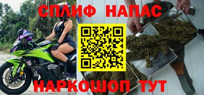 гашик Тара