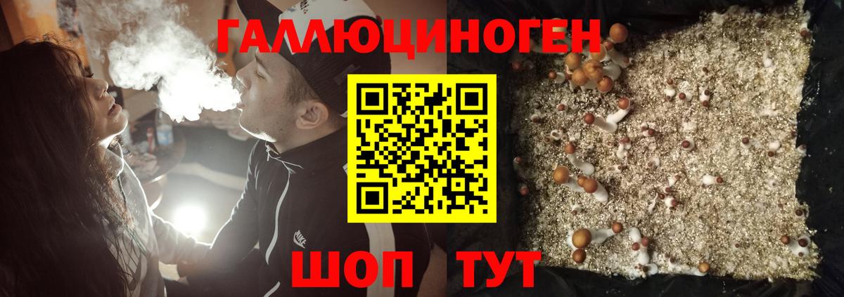 Галлюциногенные грибы ЛСД Муром