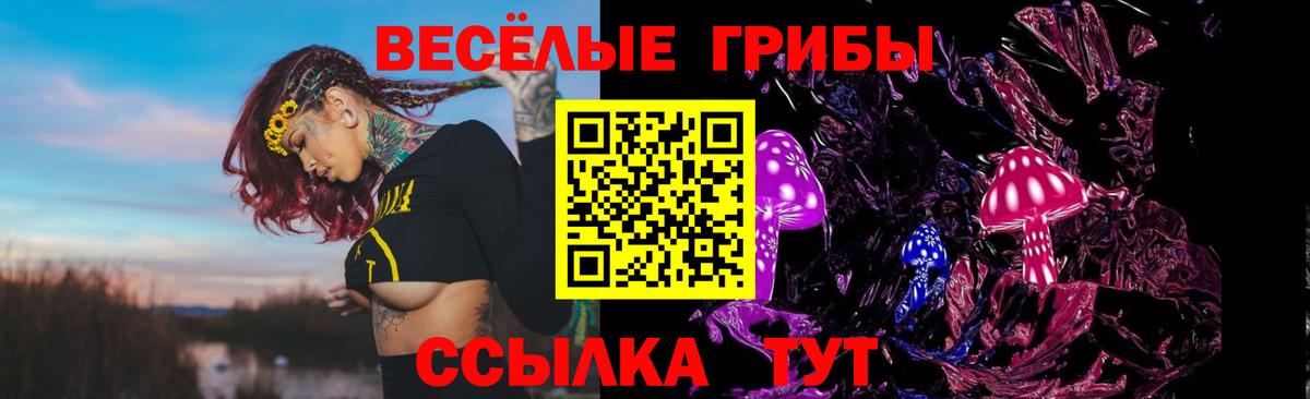 Псилоцибиновые грибы Psilocybine cubensis  Галлюциногенные грибы Cubensis  Вход с VPN  Муром 